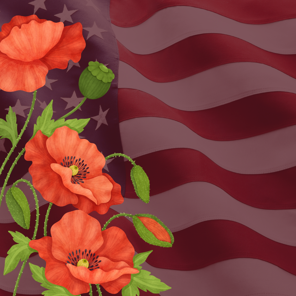 Poppies and American Flag